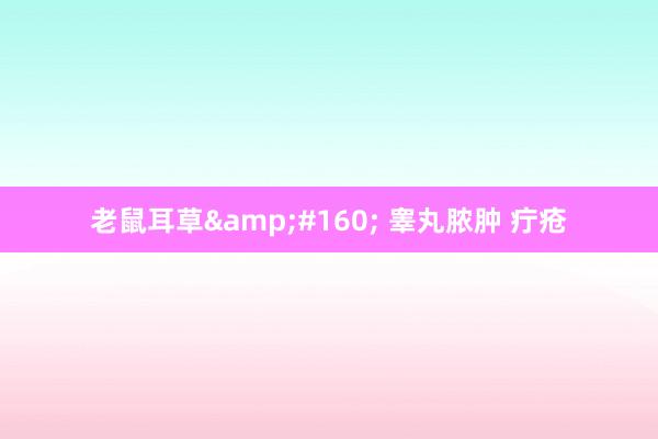 老鼠耳草&#160; 睾丸脓肿 疔疮